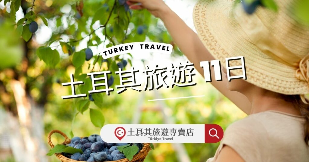 土耳其旅遊11日採果行